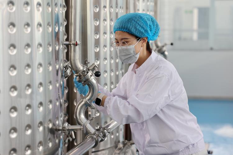 在山东省乐陵市一家健康食品研发企业中试车间,工作人员对黑枣酒发酵